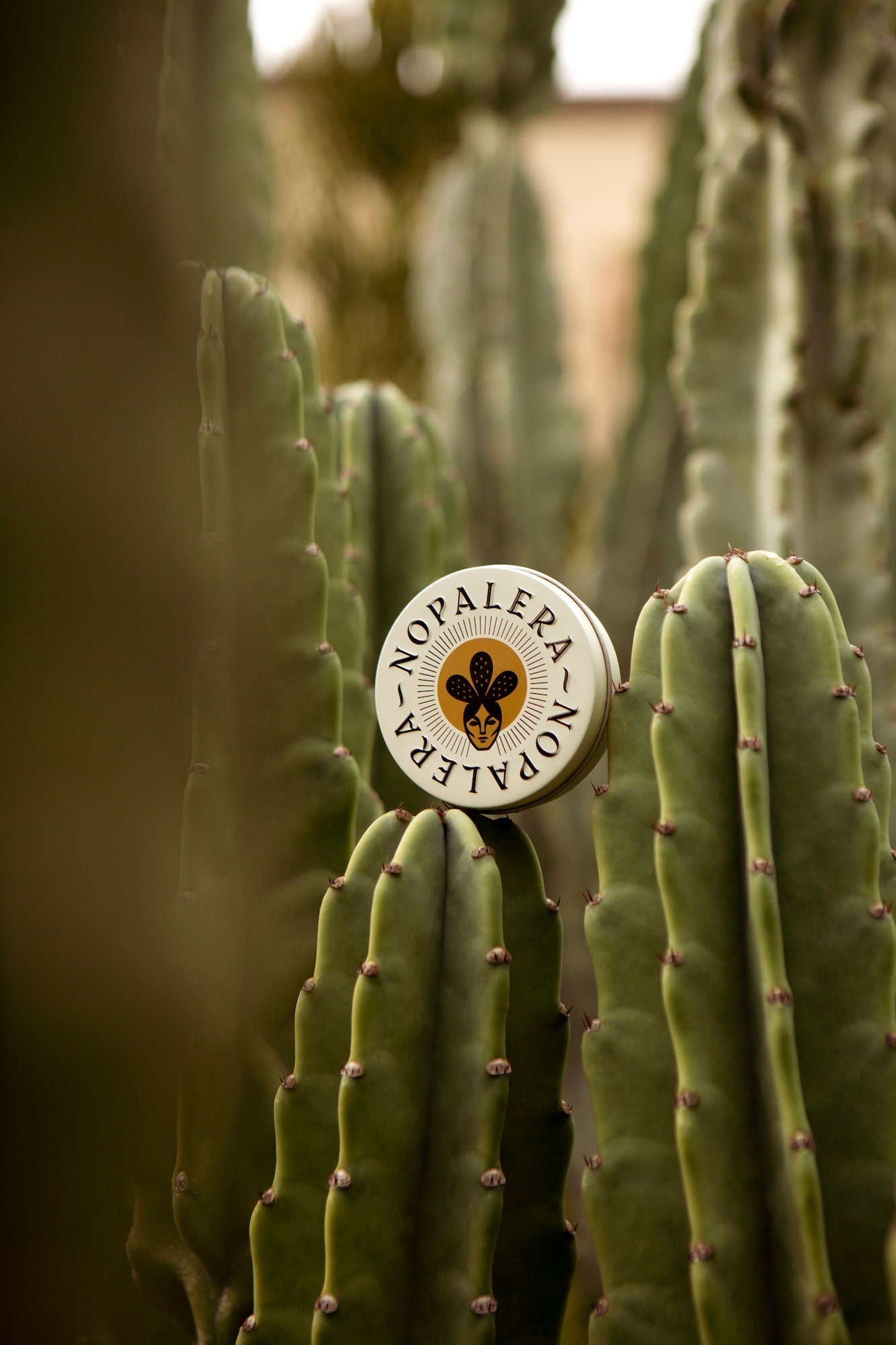 Nopalera body care product displayed among tall desert cacti.