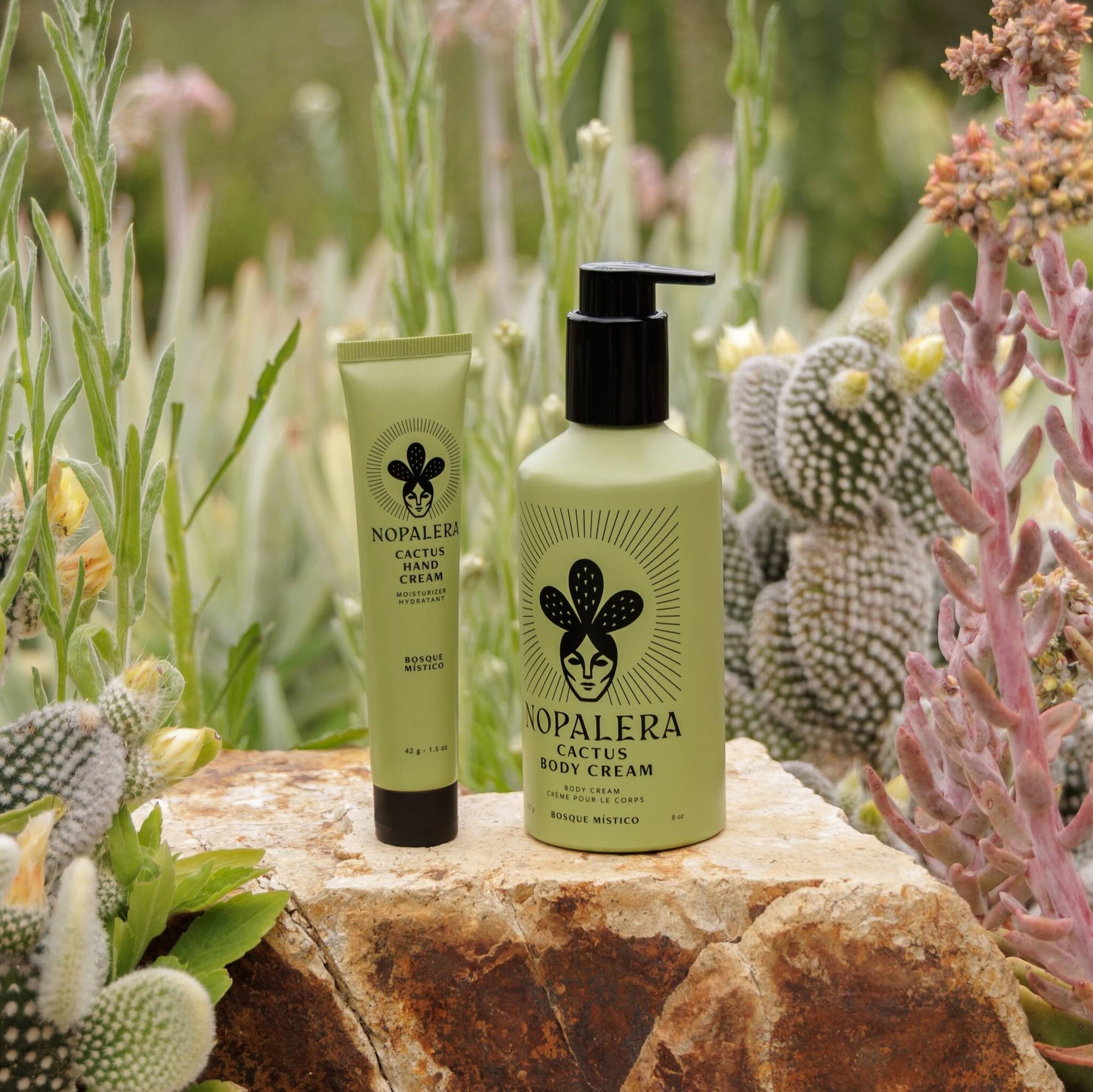 Nopalera Cactus  body cream Bosque Místico and hand cream on a rock with cacti and succulents in the background