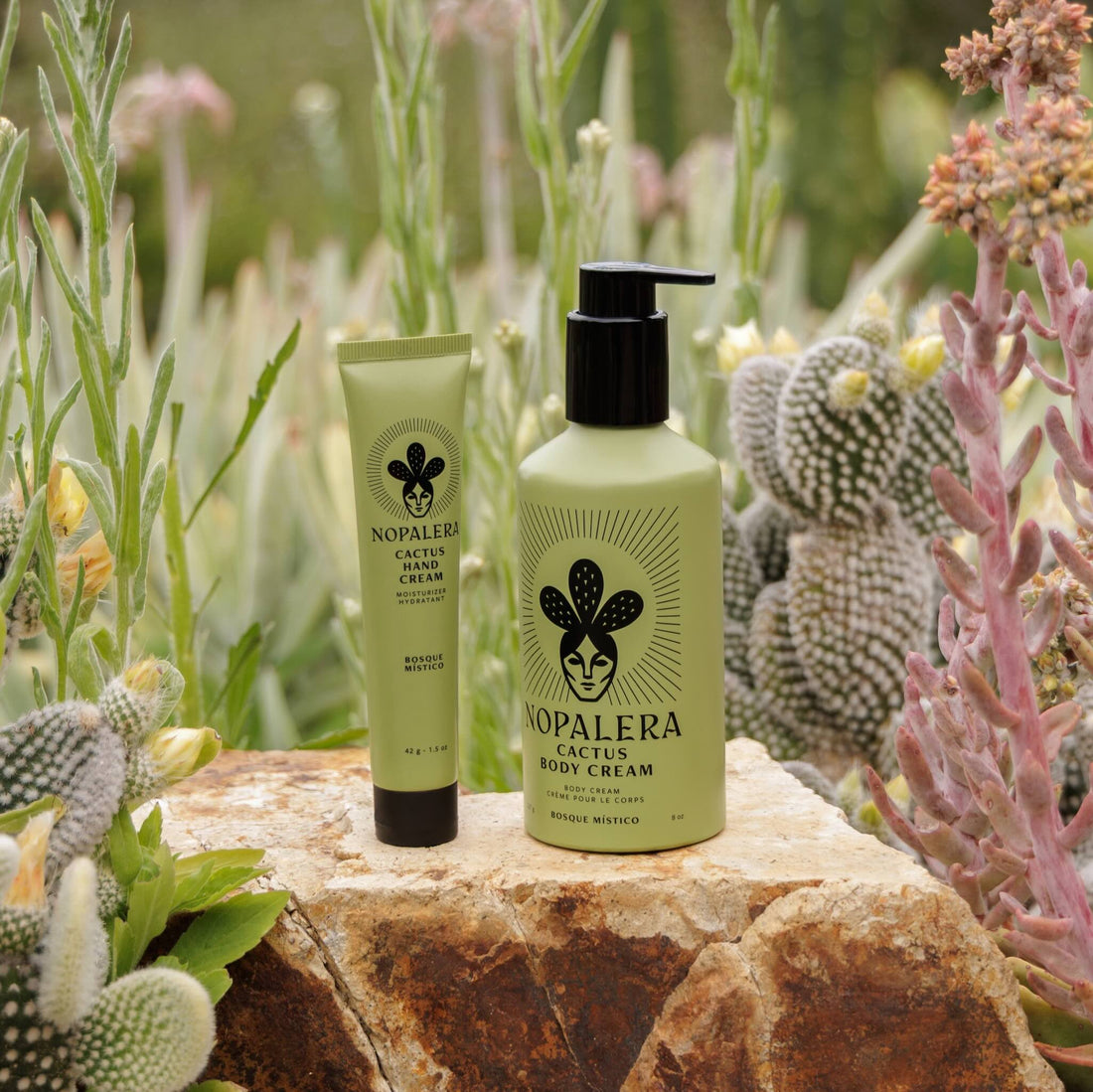 Nopalera Cactus  body cream Bosque Místico and hand cream on a rock with cacti and succulents in the background