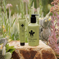Nopalera Cactus  body cream Bosque Místico and hand cream on a rock with cacti and succulents in the background