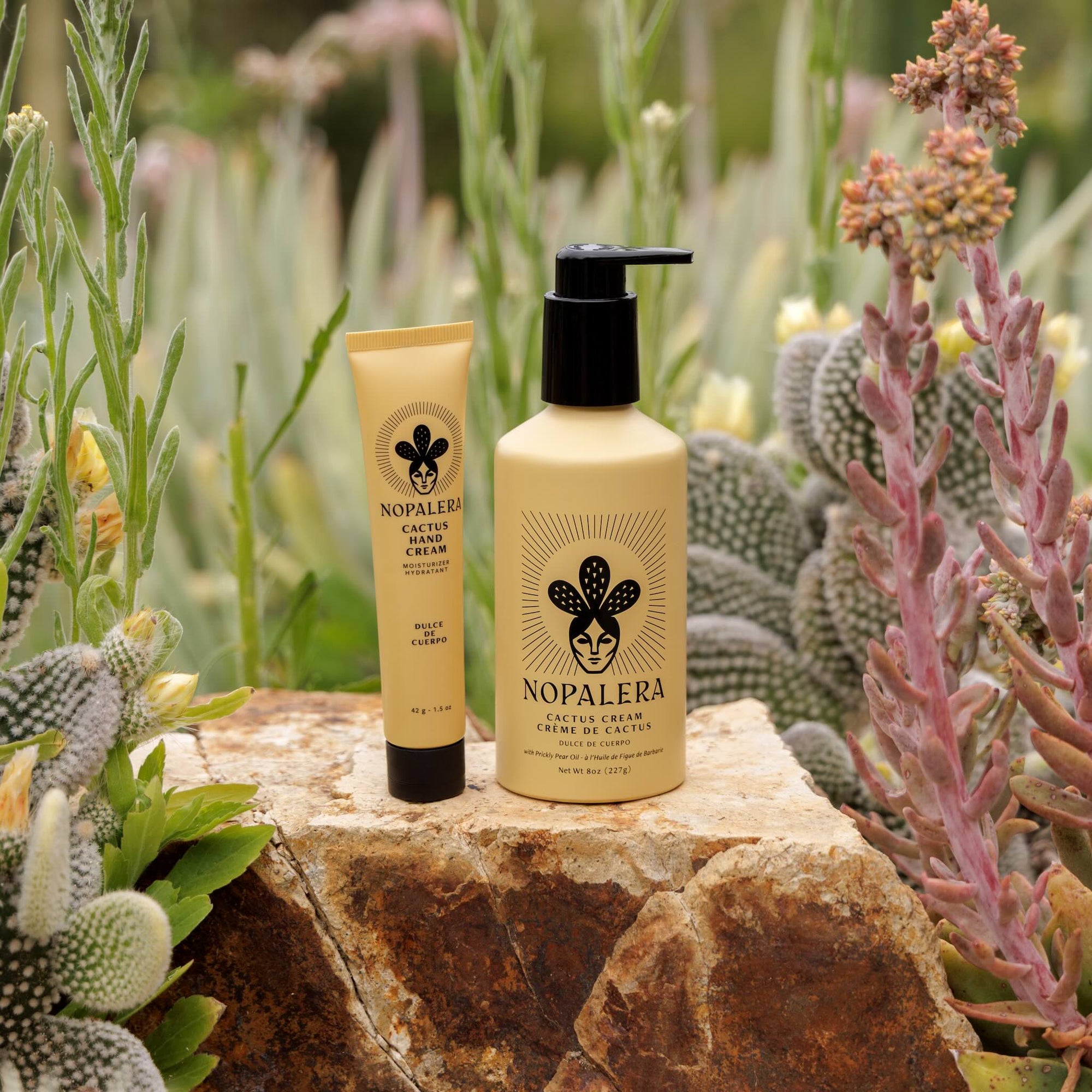 Nopalera cactus cream and body cream Dulce de Cuerpo on a stone surface with cacti and succulents in the background