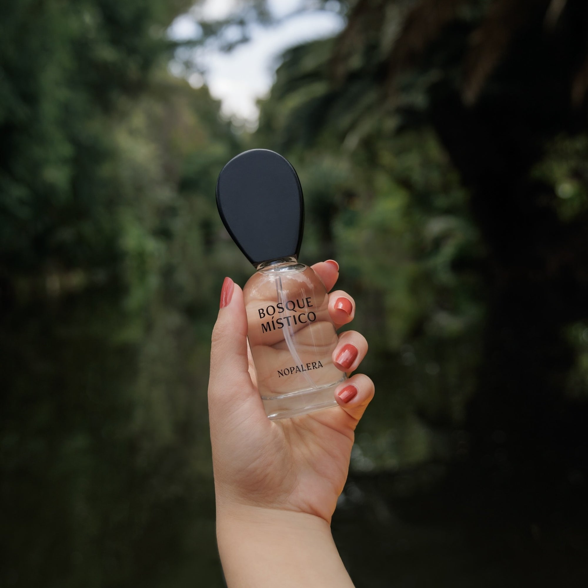 Bosque Místico luxury Mexican fragrance by Nopalera held outdoors in natural setting