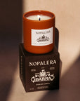 Nopalera Ibarra scented candle on a matching box with a warm glow.