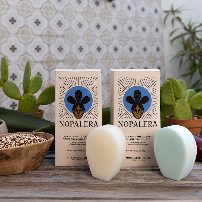 Nopalera solid shampoo and conditioner bars with packaging displayed with cactus plants