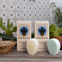 Nopalera solid shampoo and conditioner bars with packaging displayed with cactus plants