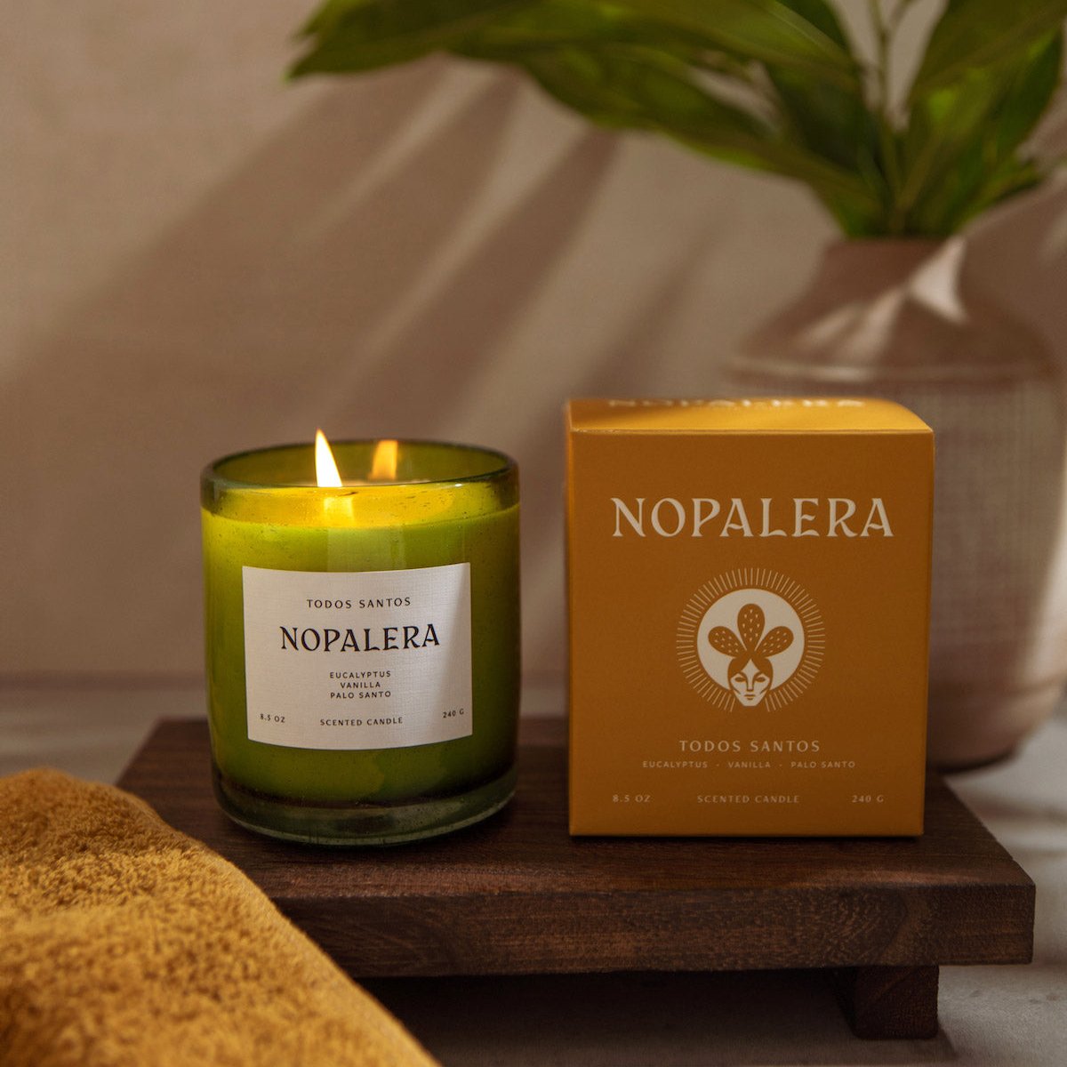 Nopalera Todos Santos scented candle in green glass jar with product box